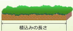 �A���݂̒���